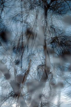 Dave Littell - The Impersistence of Memory